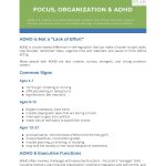 Focus, Organization and ADHD resource PDF